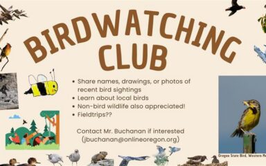 Birdwatching Club